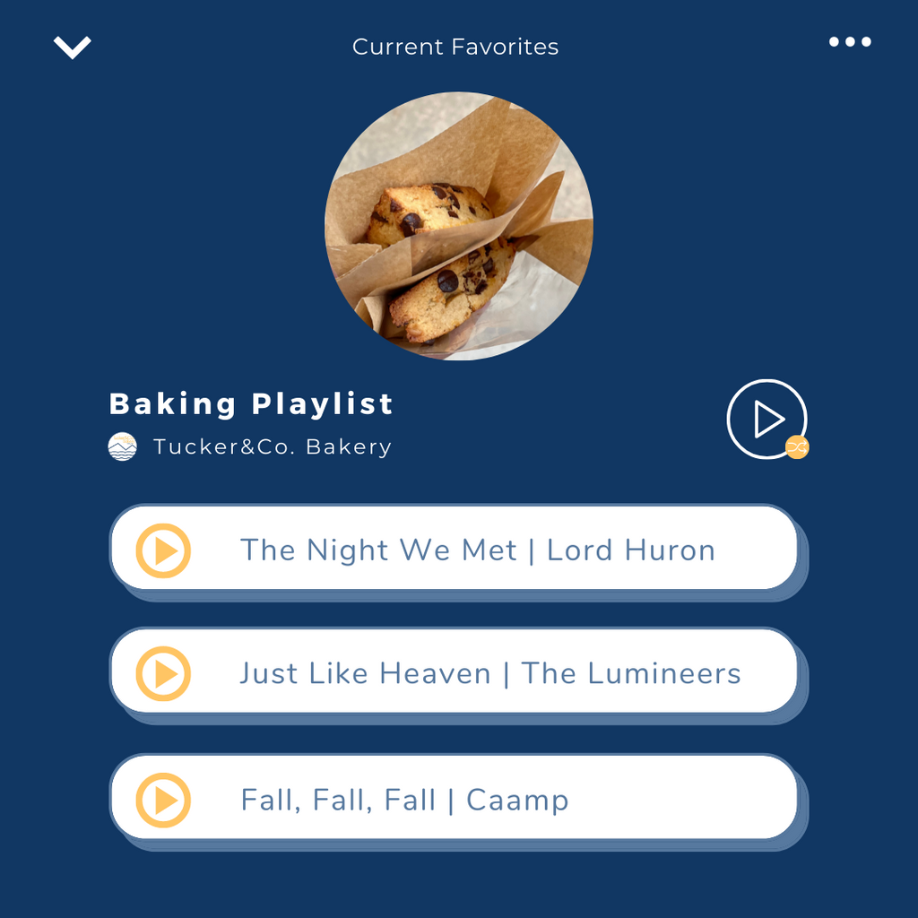 My favorite music: Concerts, songs, and artists I love