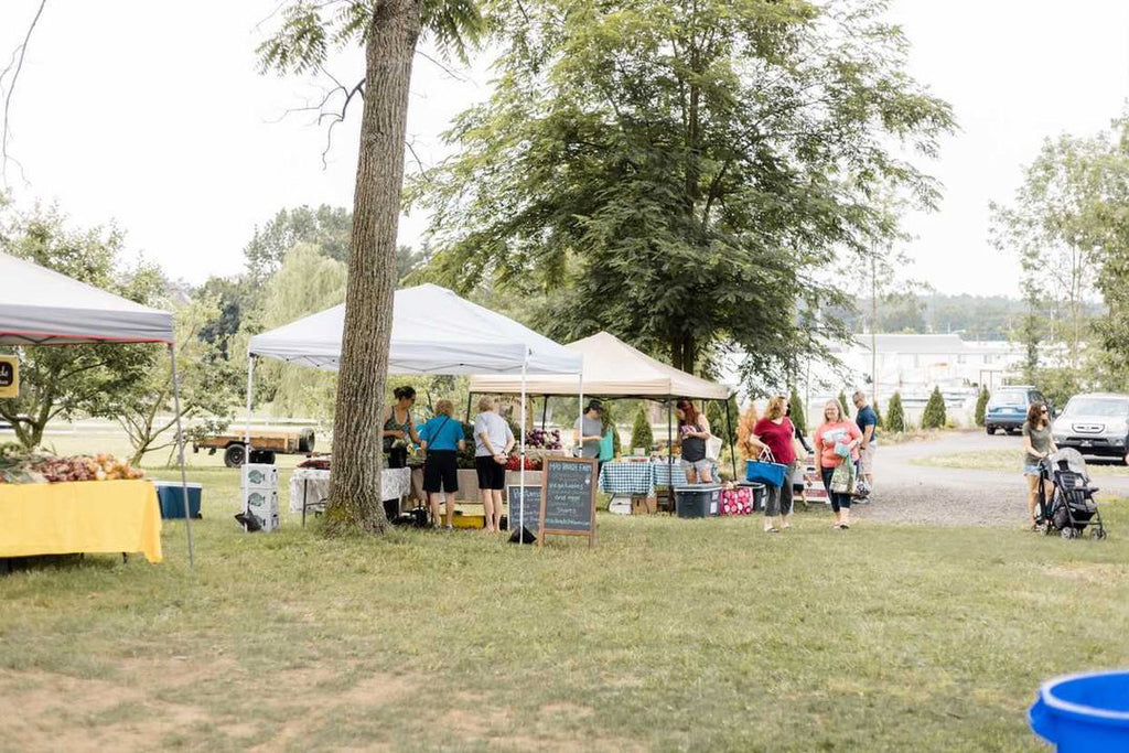 Why you Should Join a CSA
