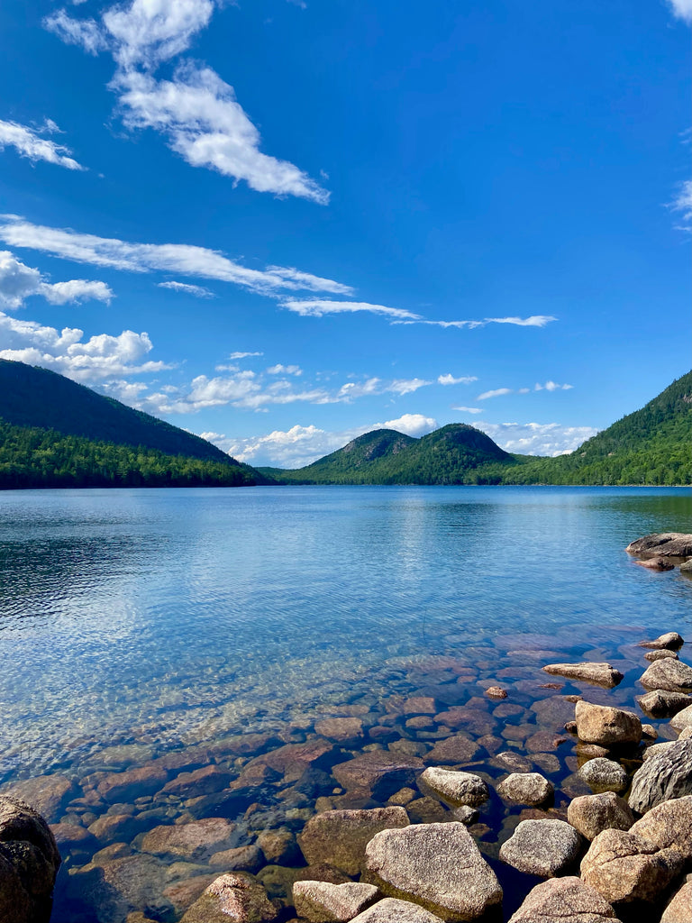Erica’s Adventure Across Maine & Acadia National Park