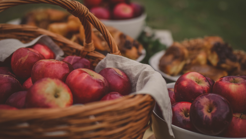 Autumn adventure ideas