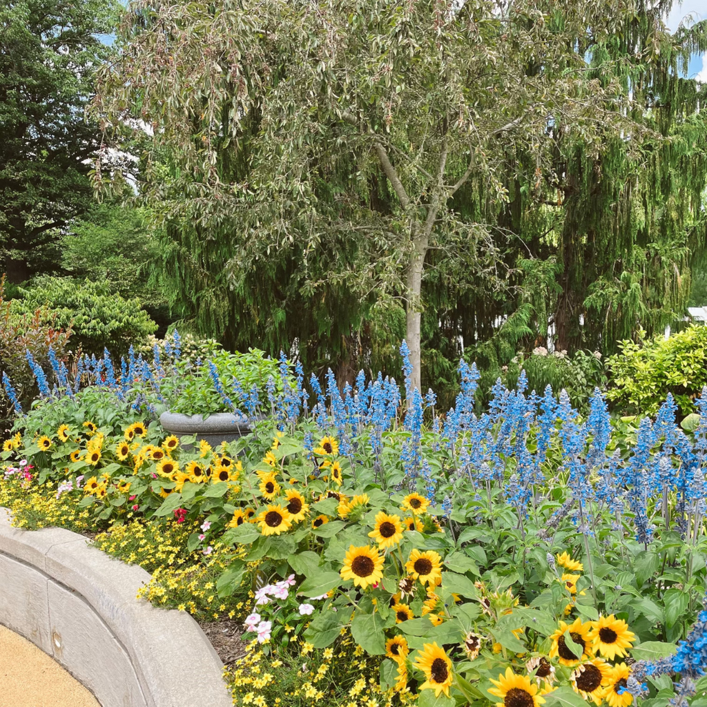 An afternoon in the Hershey Gardens