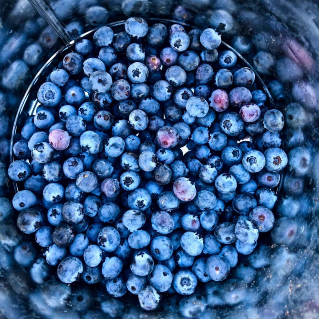 Five fruits in season: Fun ways to use them