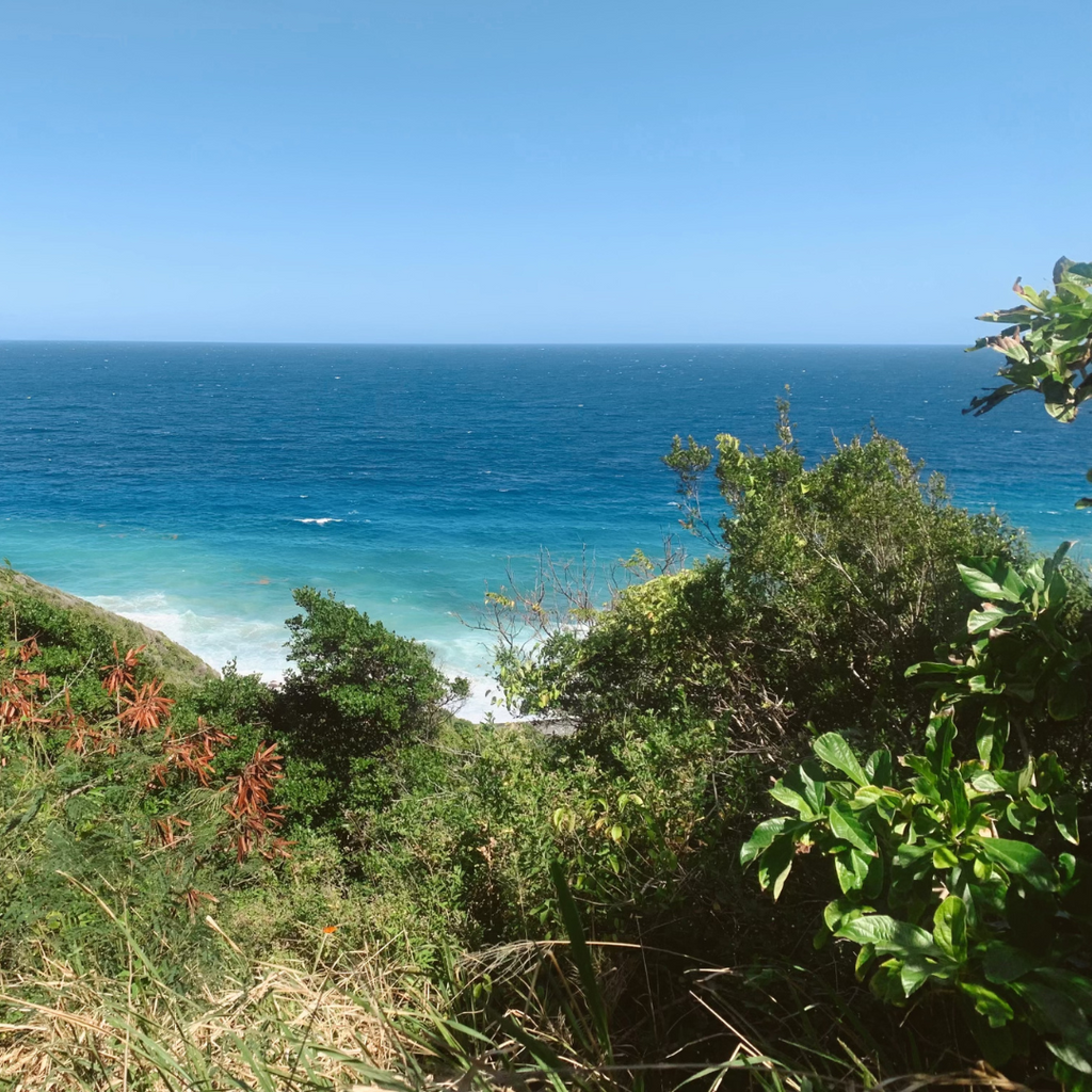 5 Days in St. Croix