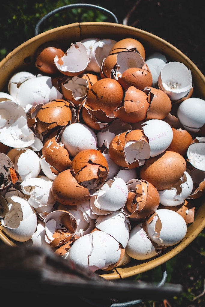 Food Waste & Composting